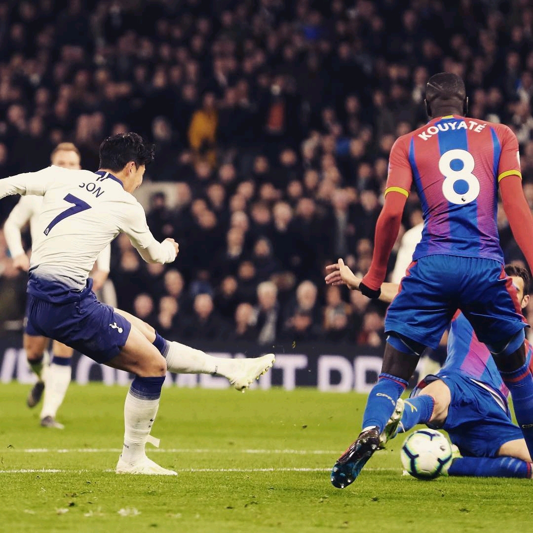 盐城球迷们 盐城球迷们